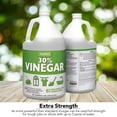 128 Oz. 30 Cleaning Vinegar Concentrate And 32 Oz. Professional Spray