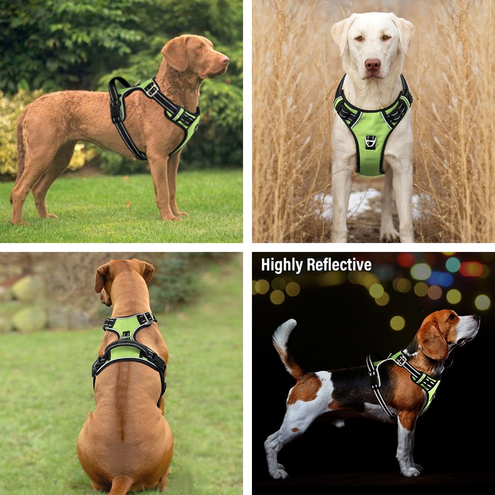Plutus Pet No Pull Dog Harness, Release at Neck, Adjustable Reflective Dog Vest Harness, L, Green