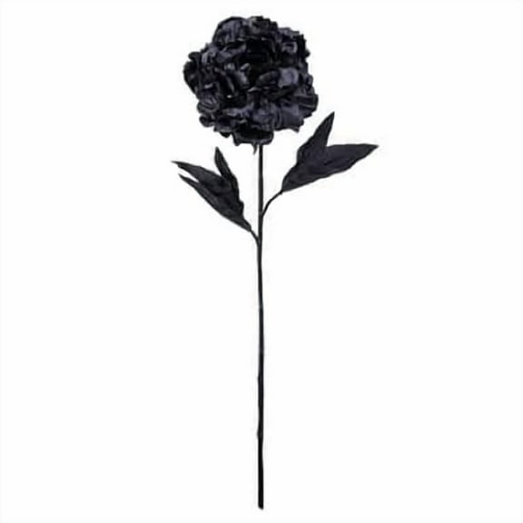 12 Pack: Black Peony Stem by Ashland®