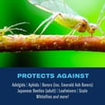 thumbnail image 2 of Pesticide BioAdvanced Tree & Shrub Protect concentrado de 3,8 litros, 2 of 7