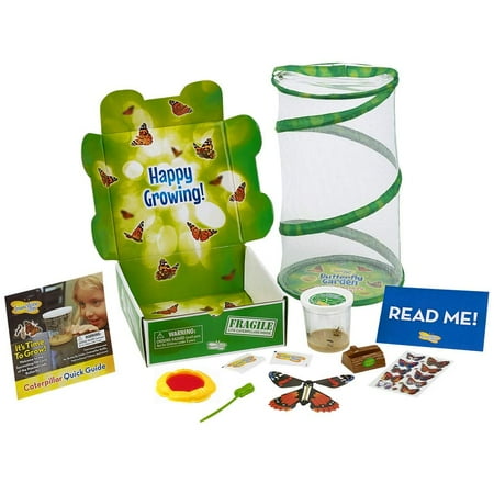 Insect Lure - Insect Lore Butterfly Garden Gift Set with Live Caterpillars and Feeding kit