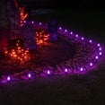 thumbnail image 6 of Wintergreen Lighting C7 Purple OptiCore Smooth LED Pathway Light Kit, 50 Lights, 12" Spacing, Black Wire, 50 ft, 6 of 8