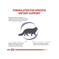 thumbnail image 3 of ROYAL CANIN DENTAL DRY FELINE 1.5 KG ORIGINAL SELLADO blanco, 3 of 4