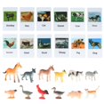 thumbnail image 3 of Juego de Animales Montessori Baoblaze 12 Animales 12 Tarjetas Clasificación, 3 of 8