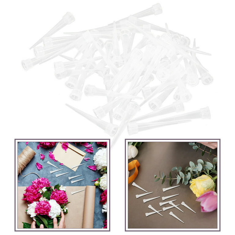 50 Pcs Floral Water Tubes with Rack Holder Floral Tubes Water Tubes for  Flowers Flower Vials for Milkweed Cuttings Flower Arrangements