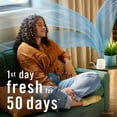 thumbnail image 4 of Febreze Plug in Air Freshener, Scent Booster, Oil Diffuser, Starter Kit + 1 Refill, Downy Calm Scent (2 Pack), 4 of 5