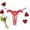 Red, variant on Women’s Seamless Hipster Underwear – No Show Panties for Comfort Soft and Stretchy Briefs Ideal for Everyday Wear and Active