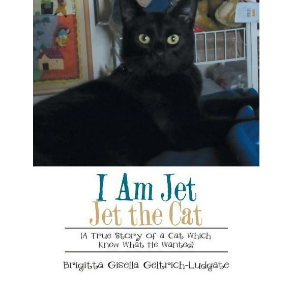 I Am Jet Jet the Cat: (A True Story of a Cat Which Knew What He Wanted), (Paperback)