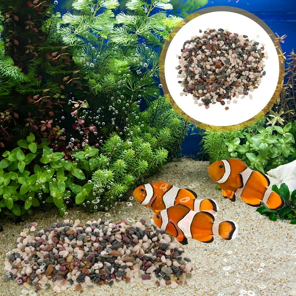 LULULION Fish Tank Substrate Aquarium Gravel Multi Fish Habitat Improvement 1 Pound