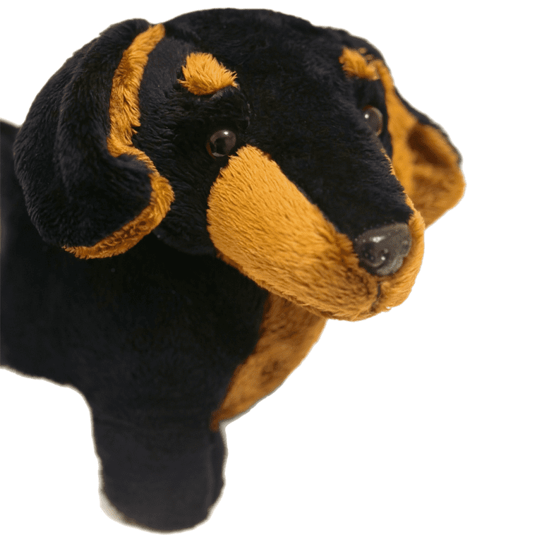 Derika the Dachshund, 12 Inch (Not Including Tail Measurement!) Stuffed  Animal Plush Weenie Dog