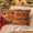 Burnt Orange, variant on Burnt Orange Fall Pumpkin Decorative Throw Pillow Covers Set of 2, 20x20 Inch Soft Plush 3D Embroidered Halloween Pillow Covers for Fall Decorations Farmhouse Cushion Covers for Thanksgiving