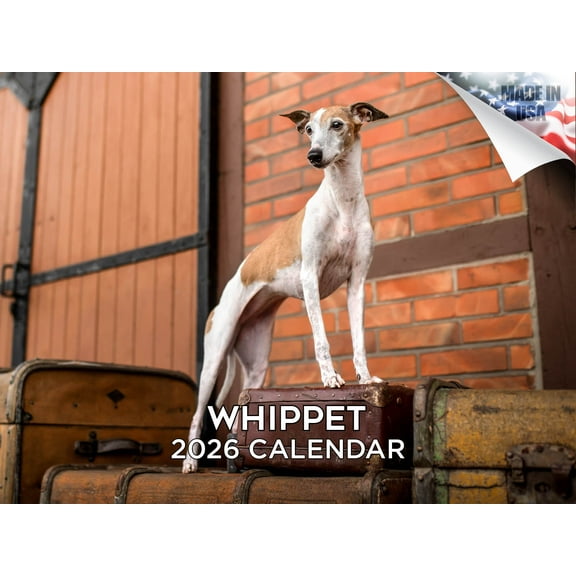 2025 2026 Whippet Calendar - Dog Breed Monthly Wall Calendar - 12 x 18 Open - Thick No-Bleed Paper - Giftable - Made in USA