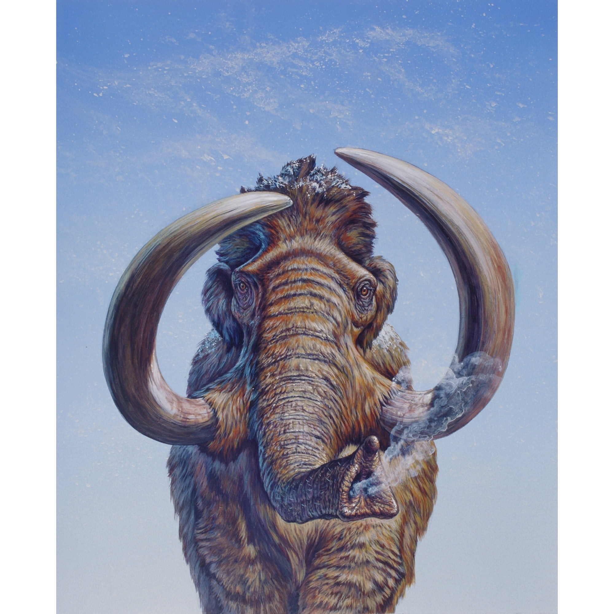 Woolly Mammoth charging, Pleistocene Epoch, North America Poster Print (25  x 31) - Walmart.ca