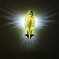 thumbnail image 3 of 3D LED Animal Wall Light, Soft and Warm Light, Artistic and Functional, Cute Design, Excellent Gift, Multifunctional Decorative Piece, for Bedroom, Office, Living Room, 3 of 8