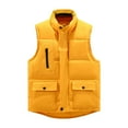 thumbnail image 1 of LSLJS Manteau à Poches pour Femmes Veste Courte Hiver Sans Manches Col Rabattu Fermeture Éclair Uni Manteau d'Extérieur, Gilets d'Extérieur pour Femmes, 1 of 3