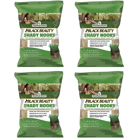 Jonathan Green Shady Nooks Grass Seed, 3-Pound 4 Pack