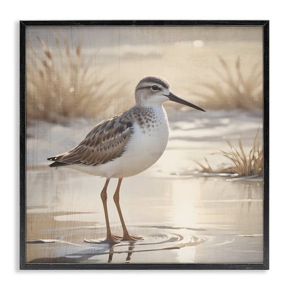 Stupell Industries Rustic Lodge Sunlit Sandpiper in Shallow Water Black Framed Giclee Art, 12 x 12, by Susan Arnot