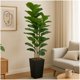 thumbnail image 3 of 5 ft de altura artificial qinye banyan tree con negra planter fake tree con natural wood trunk para indoor oficina sala de estar home decor featuring faux ficus tree y fake moss, 3 of 8