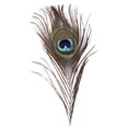 thumbnail image 2 of Lots 10 Pcs Plumes d'Œil de Queue de Paon Naturelles Réelles pour Bricolage 23-30cm/10-12 Pouces, 2 of 8