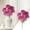 Hot Pink, variant on Carnations Artificial Flowers, Real Touch Carnation Flowers with Stems for Wedding, Home, Table Centerpieces, Floral Arrangements, Wedding Bouquets for Bride, Orange
