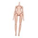 thumbnail image 5 of Cuerpo femenino Figura de acción a escala 1/6 CUTICAT estilo B, 5 of 8