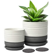 2 Plant Pots, 6 Inch   4.75 Inch Ceramic Planters Pots with Drainage Hole and Saucers for Succulents Cactus Herbs Aloe Bamboo Plants Indoor