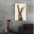 thumbnail image 6 of Epic Art 'European Hare II' by Ethan Harper, Acrylic Glass Wall Art, 24"x36", 6 of 8
