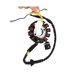 thumbnail image 4 of Coil 12 pole stator DC coil ignition stator compatible with GY6 125Cc 150Cc, 4 of 5