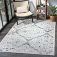 thumbnail image 3 of SAFAVIEH Cabana Kyleigh Diamond Indoor/Outdoor Area Rug, Ivory/Grey, 6' x 9', 3 of 11