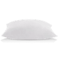 thumbnail image 1 of Bouclair Oreiller en Microgel Blanc de Base King, 1 of 5