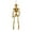Gold, variant on Full Body Poseable Halloween Skeleton Decor - 15.7" Realistic Hanging Skeleton with Movable Joints for Yard, Patio & Haunted House Party Decoration