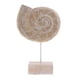 thumbnail image 1 of Adornos de escritorio caseros decorativos de de madera artesanal de estilo náutico Sunnimix Adorno de concha náutica, 1 of 7