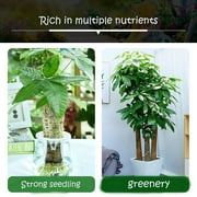 Bamboo Fertilizer, Abundant Bamboos Nutrient Solution, Concentrate for Flowering Plants, 38ml Universal Flower and Green Plant Liquid Fertilizer for Hydroponic and Foliar Use, Gardening Supplies