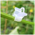 thumbnail image 4 of Bearachild Paquete de 100 piezas de 100 Clip de injerto de plástico para plantas vegetales uvas sandía soporte medio transparente abrazadera Jardín y Patio, 4 of 6