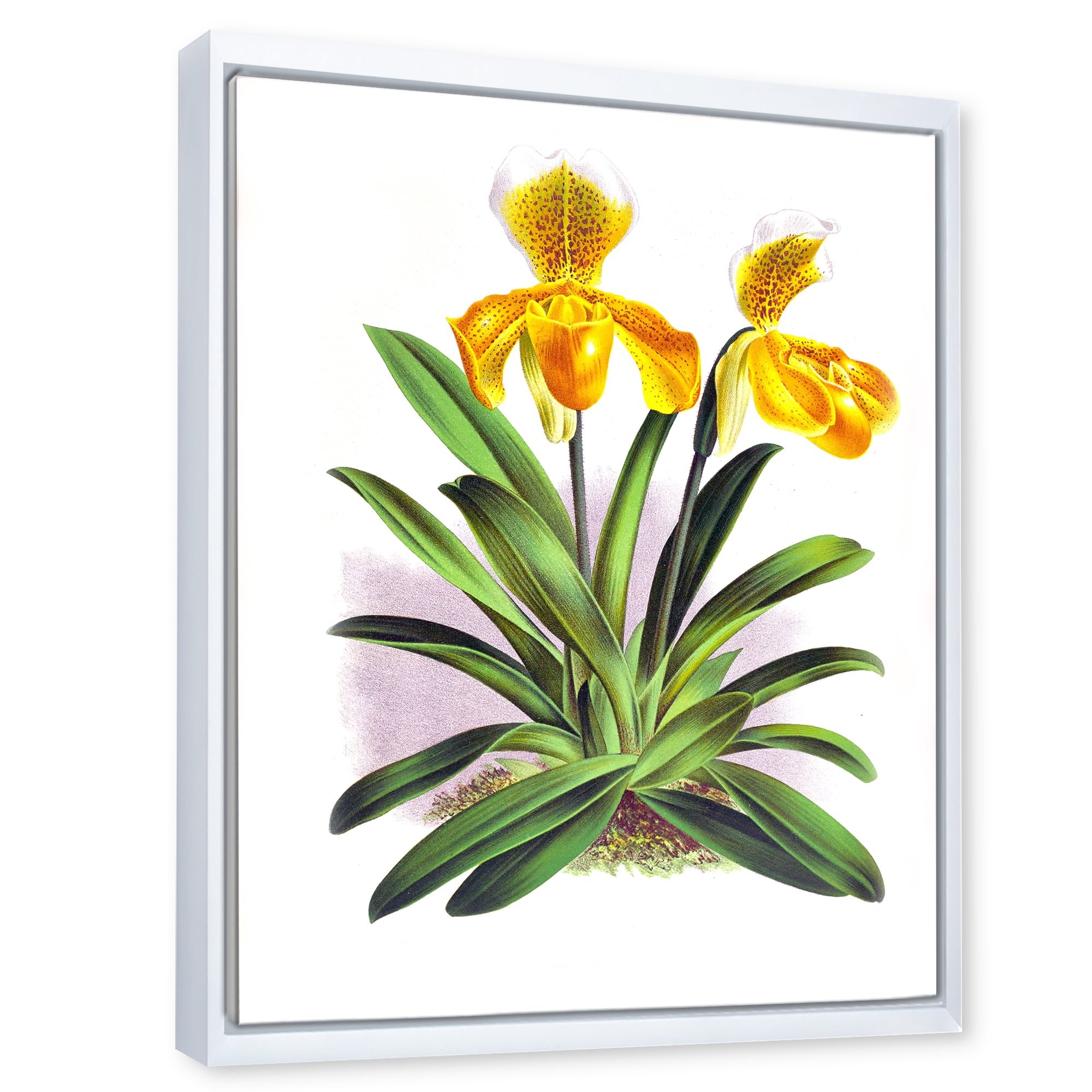 Designart 'Yellow Vintage Orchid' Traditional Framed Canvas Wall Art Print