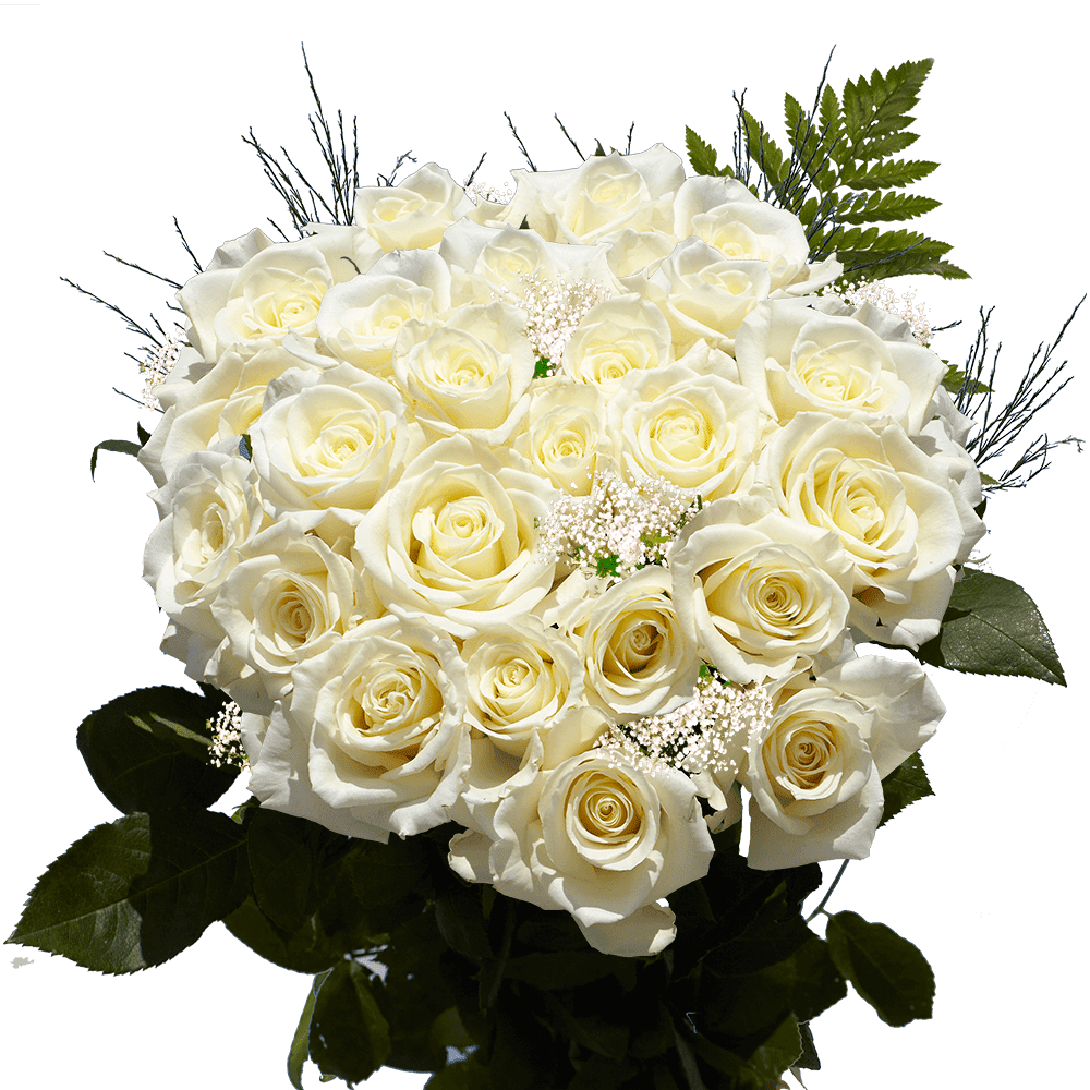 Two Dozen White Roses with Baby's breath and Green Fresh Flower
