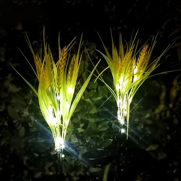 Lámpara Solar para césped y jardín, luz LED para exteriores de arroz, que dura hasta 8H, IP65, resistente al agua, 2 uds.