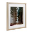 thumbnail image 2 of Stupell Industries Modern Tall Trees Pathway Birch Framed Print Under Glass, 13 x 13, by Kim Curinga, 2 of 8