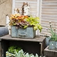 thumbnail image 6 of Rectangular Iron Planter Drawer, 6 of 10