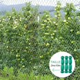 thumbnail image 5 of Jinsinto Filet Anti-Oiseaux, 3 Pcs 2*10m Filet de Jardin Vert, Filet 15mm, 5 of 5