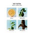 thumbnail image 4 of Candle NEST New York Amalfi con limón y menta, 625 ml, 100 horas de combustión, 4 of 6