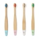 thumbnail image 5 of Cepillos de dientes de bambú orgánicos para bebés Wild & Stone | Paquete de 4 | Cerdas suaves | Mango 100% compostable | Sin BPA | Cepillos de dientes veganos para bebés (multicolor), 5 of 5