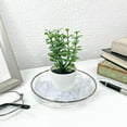 thumbnail image 3 of Plymor 4.5" x 4.5" Round Glass Display Tray (Silver Rim), Pack of 2, 3 of 3