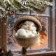 thumbnail image 5 of Adorno Navideño de Animales Del Bosque de 8 Cm | Colgante Navideño de Acrílico | Diseño Caprichoso de Vida Silvestre | Decoración Festiva Duradera para Árboles, Coronas y Centros de Mesa, 5 of 6