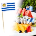 thumbnail image 1 of Country Flag Toothpicks | Cake and Burger Decorative Sticks | Flags for Themed Meals, 1 of 5