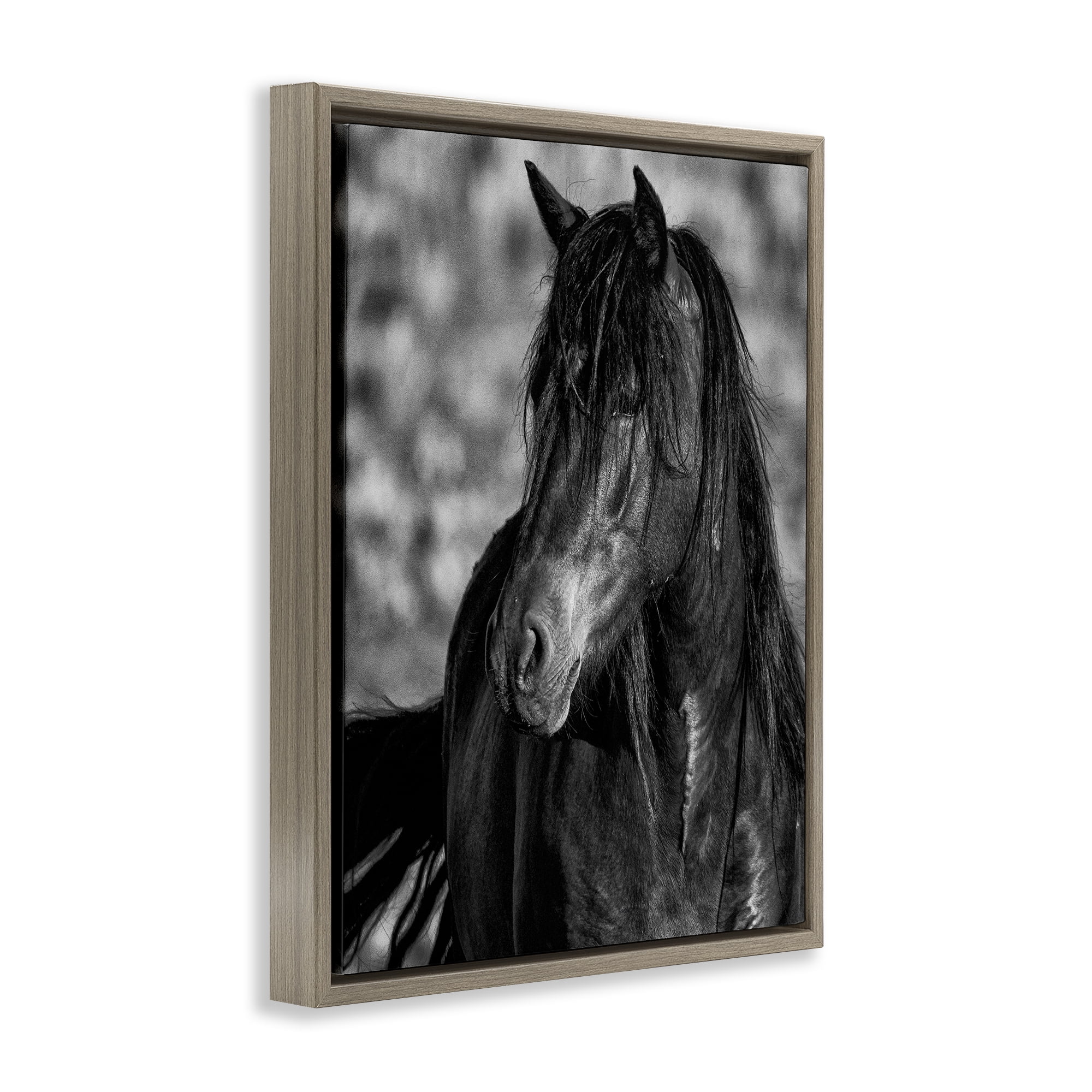 Stupell Industries Beauty In Black Brown Framed Floater Canvas Wall Art, design by Tim West