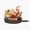 1pcs, variant on Fantasy Manga Monster Cooking Dungeon Guild Knight Medieval Alchemist Journey Decal For PC Case Sticker