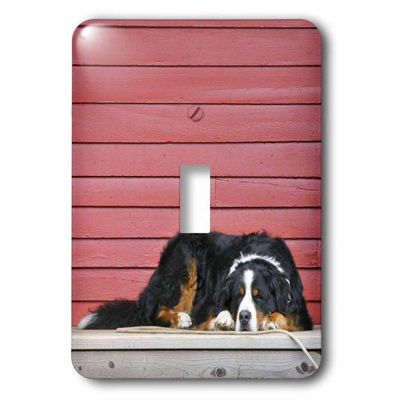 3dRose, Colorado, Breckenridge. Bernese mountain dog - US06 BJA0055 - Jaynes Gallery, single toggle switch