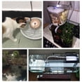 thumbnail image 3 of Bomba de Agua Solar BLESIY Ajustable 80-200L/h Motor DC 5V, 3 of 8