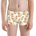 thumbnail image 5 of Yiaed Labrador Retriever Dog Print Boys' Boxer Briefs Cotton Casual Stretch Comfort Boys Boxers - Kids Boxer Briefs Underwear for Boys (6-18)-XX-Small, 5 of 5